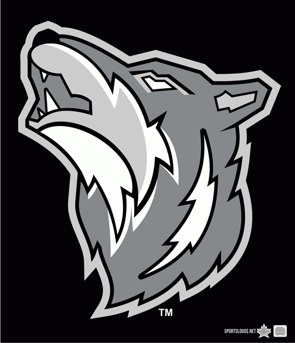 Sudbury Wolves 2010-pres jersey logo iron on heat transfer